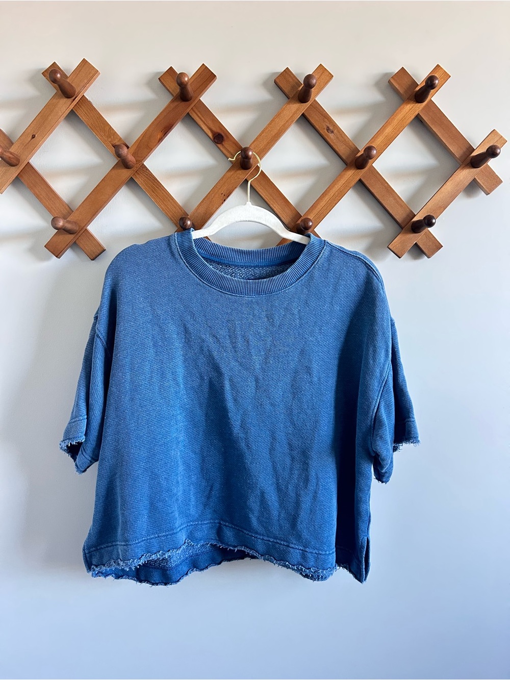 American Eagle Outfitters Blue Cropped Crewneck Sweatshirt